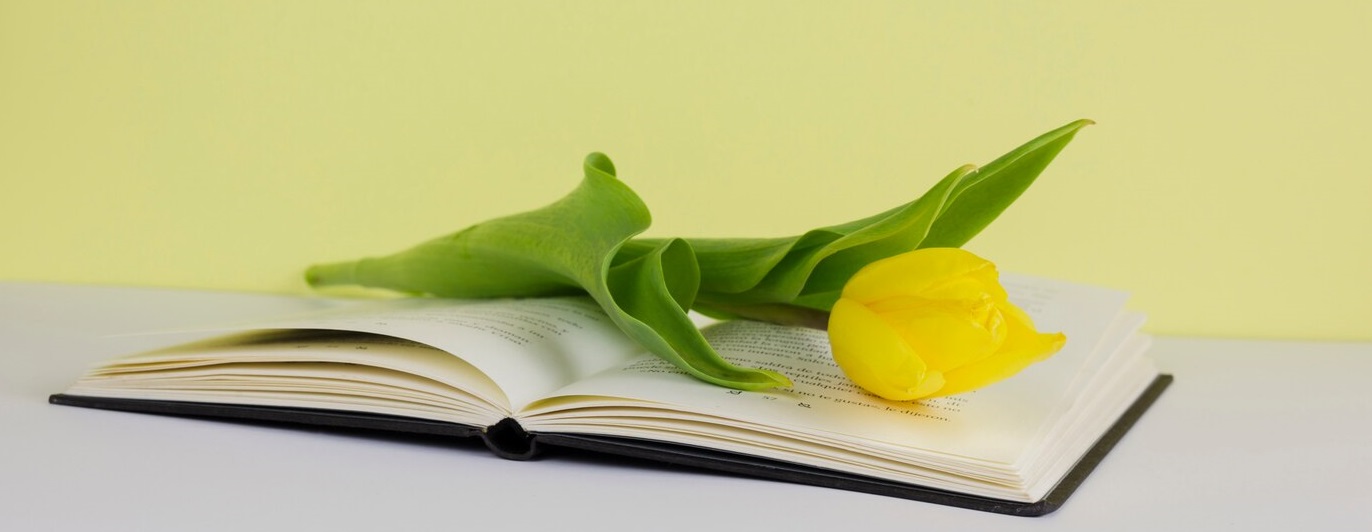 still-life-with-literature-concept_23-2148104207